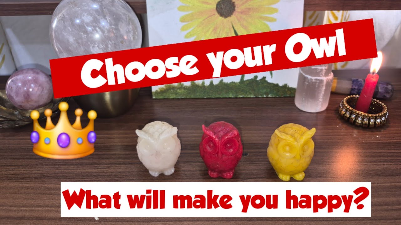 WHAT WILL MAKE YOU HAPPY?👑🎉💃Pick your OWL🦉🦉🦉