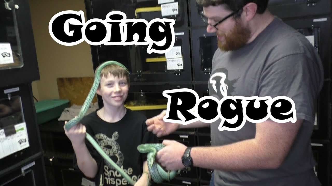 Going Rogue