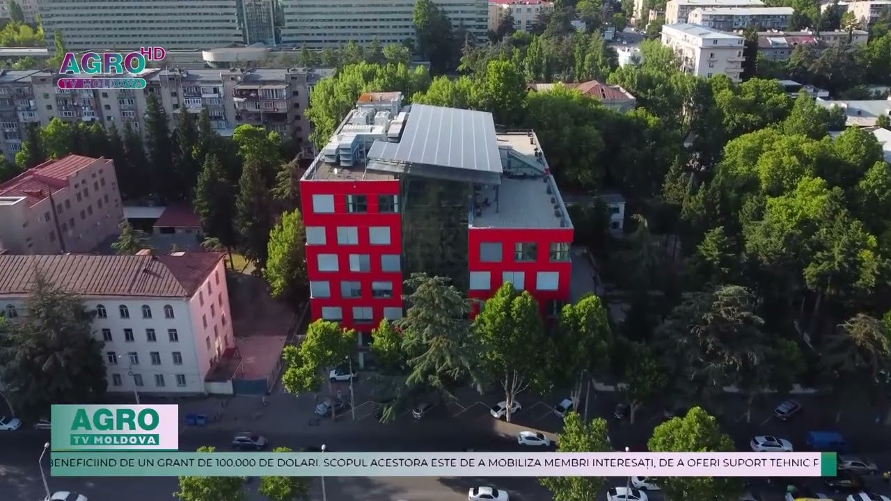 GRANTURI PENTRU ENERGIE VERDE