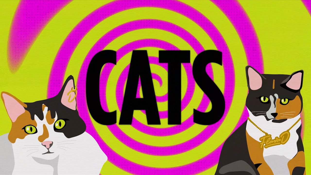 Flava D - Cats