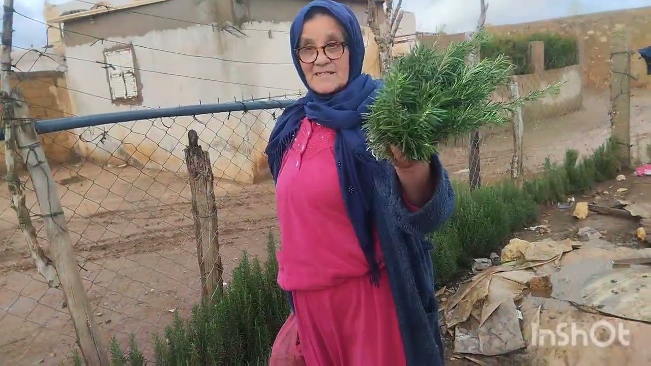  مشيت البلاد خير مولانا ديال الشتاء الله يرحمنا بيها.حصلت في العروبية وقرب الرونديفو ديال الطبيب. 