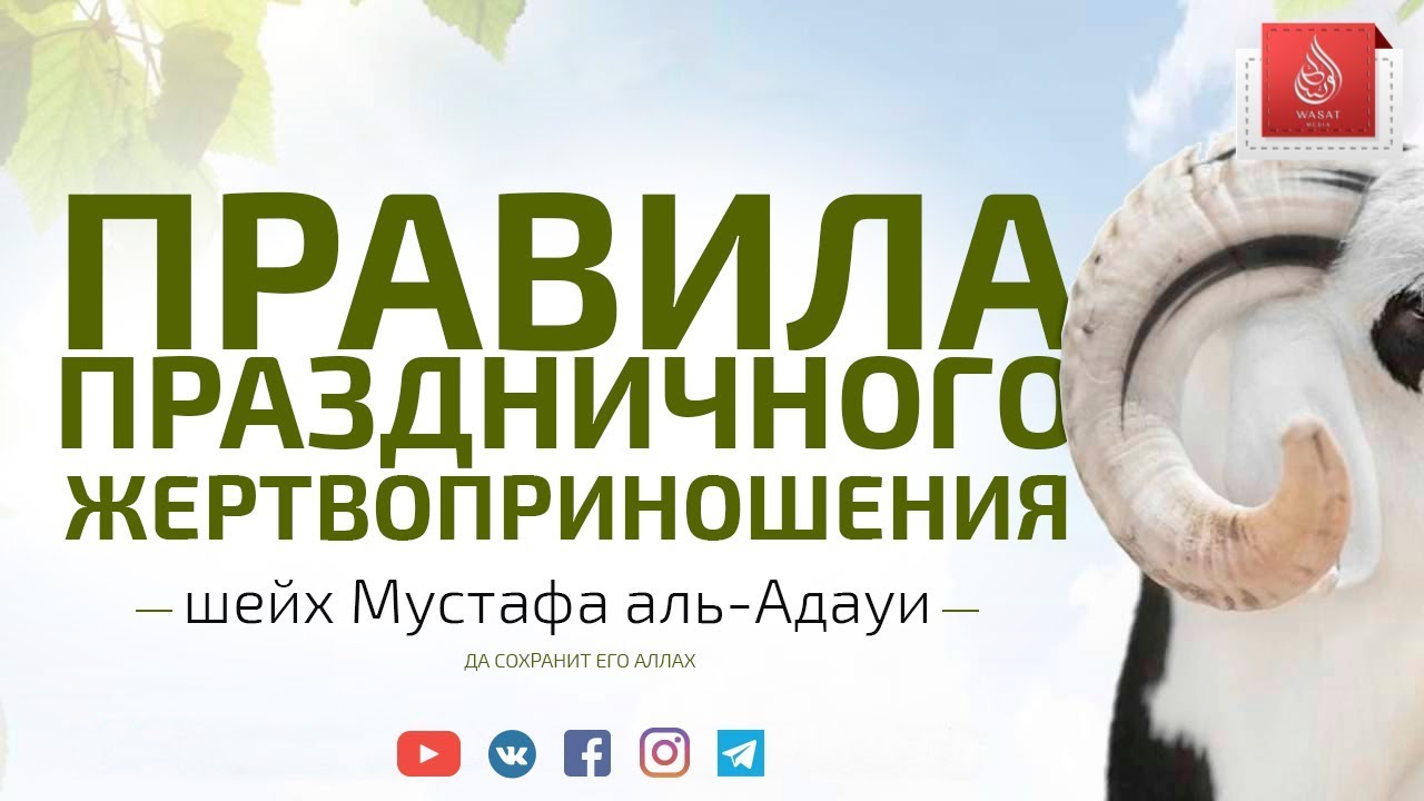 Правила праздничного жертвоприношения | Шейх Мустафа аль-‘Адауи ᴴᴰ