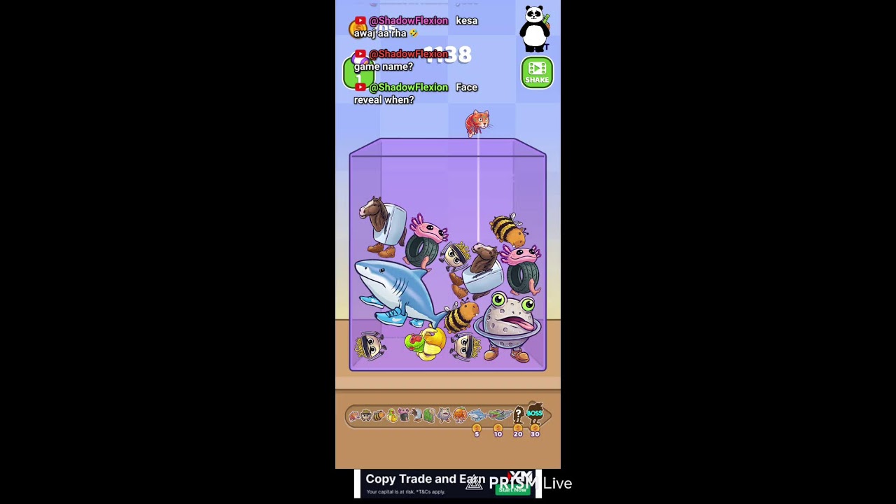 brainrots let's have fun