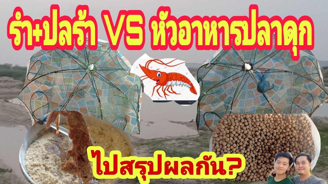 2สูตร ดักกุ้งฝอย รำคั่ว+ปลาร้า VS หัวอาหารปลาดุก วัดกันไปเลยอันไหนจะเข้าเยอะ