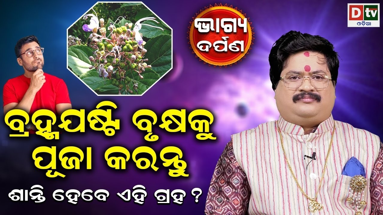 ବ୍ରହ୍ମ ଜଷ୍ଟି ବୃକ୍ଷକୁ ପୂଜା କରନ୍ତୁ | Baghya Darpana | Dr  Bhabani Shankar Mohapatra |    @DTVODIA