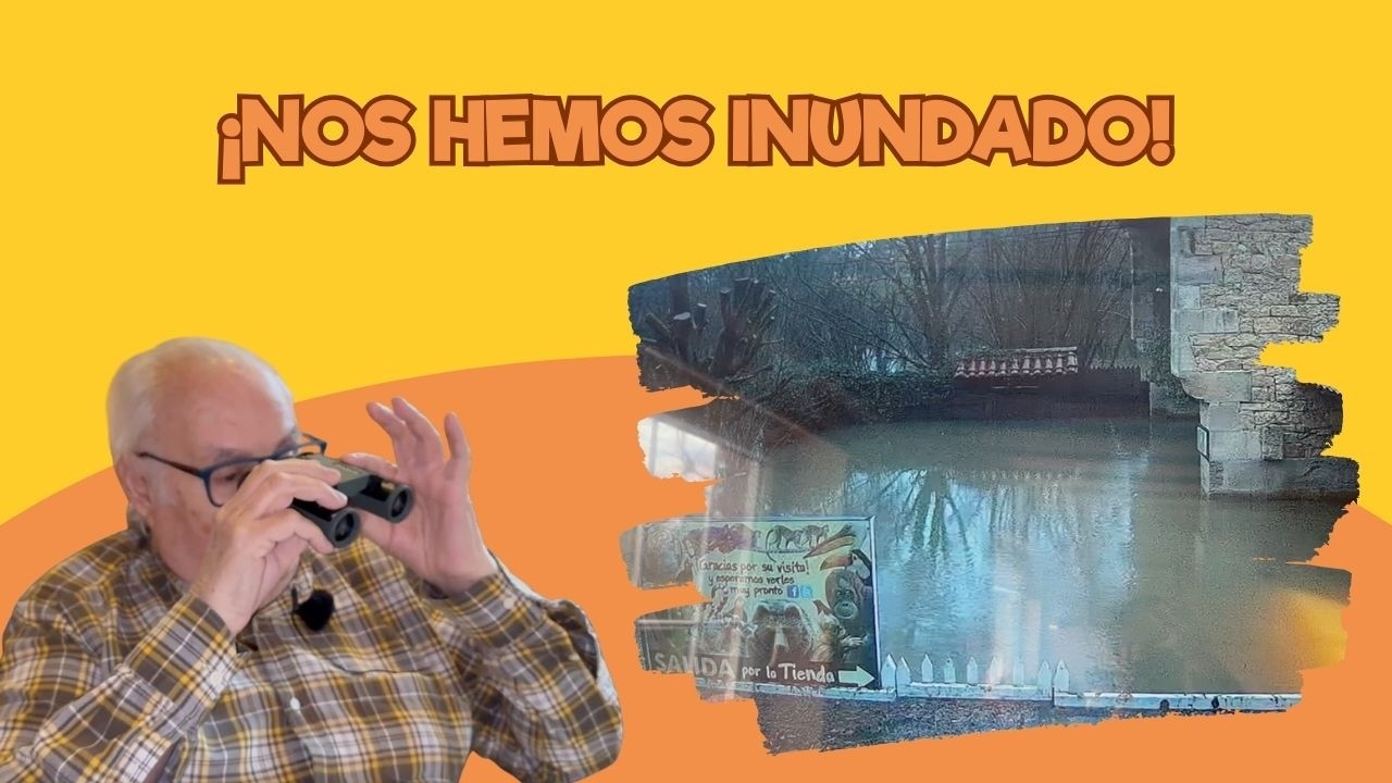 Viviendo en un Zoo: Nos hemos inundado | Santillana del Mar