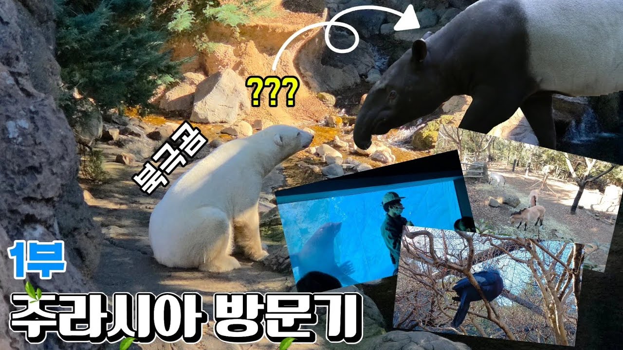 주라시아 방문기 1부(비어디드래곤)