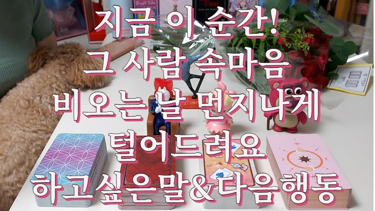타로- 지금 이순간! 그 사람 속마음 비오는 날 먼지 날때까지 탈탈 털기, 하고싶은말, 다음행동