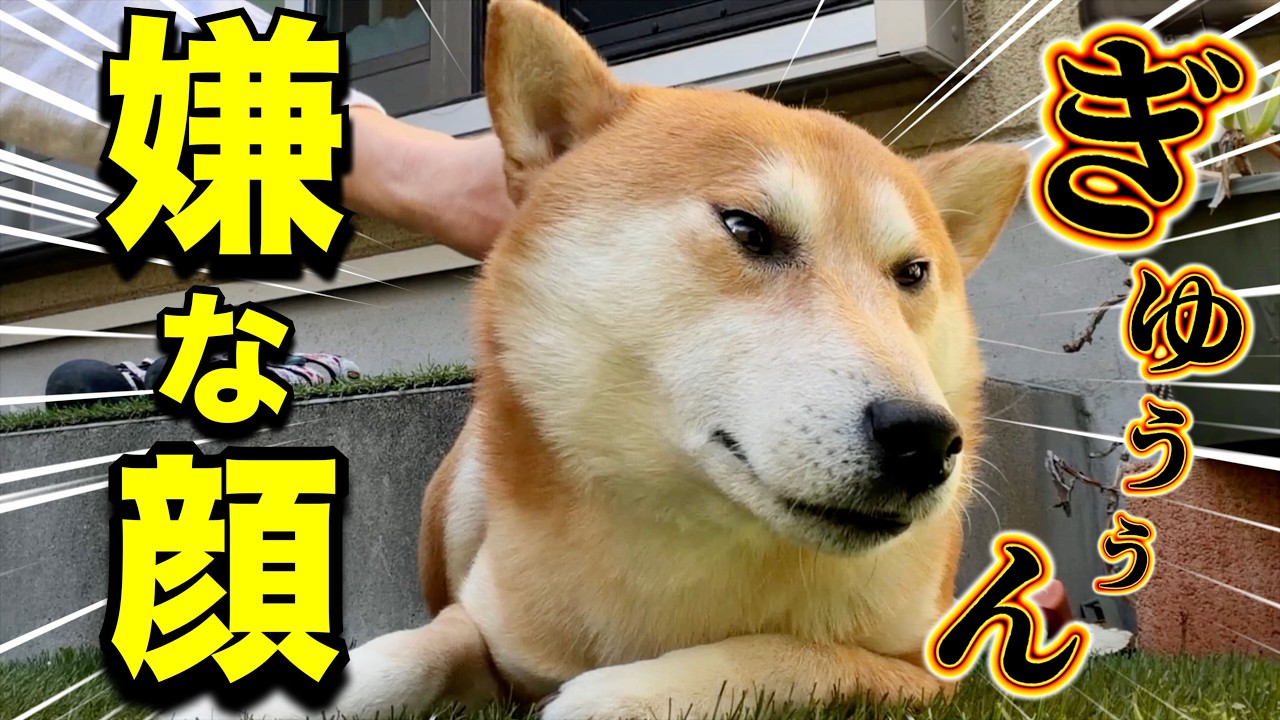 気持ちいいはずなのに顔が変なんだが・・・