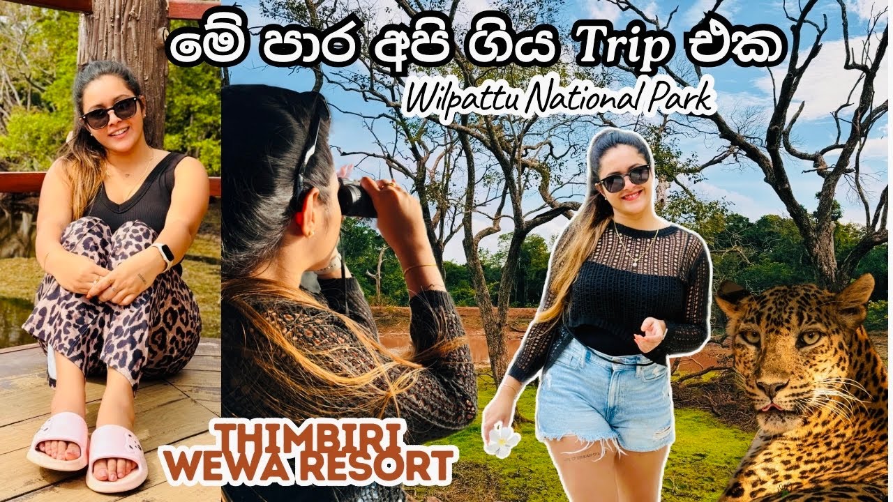 කොටි හොයන් විල්පත්තු ගියා🐅| අලි නිවාඩු ගිහින්🐘| Thimbiri wewa resort 🏡| Vlog 060 #deshanivivds 