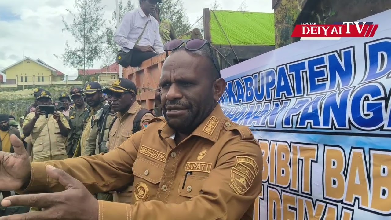 Bupati Deiyai Bagikan 350 Bibit Babi & Alat Kerja | Program 5.000 Ekor Babi Tahun 2026 Dimulai!