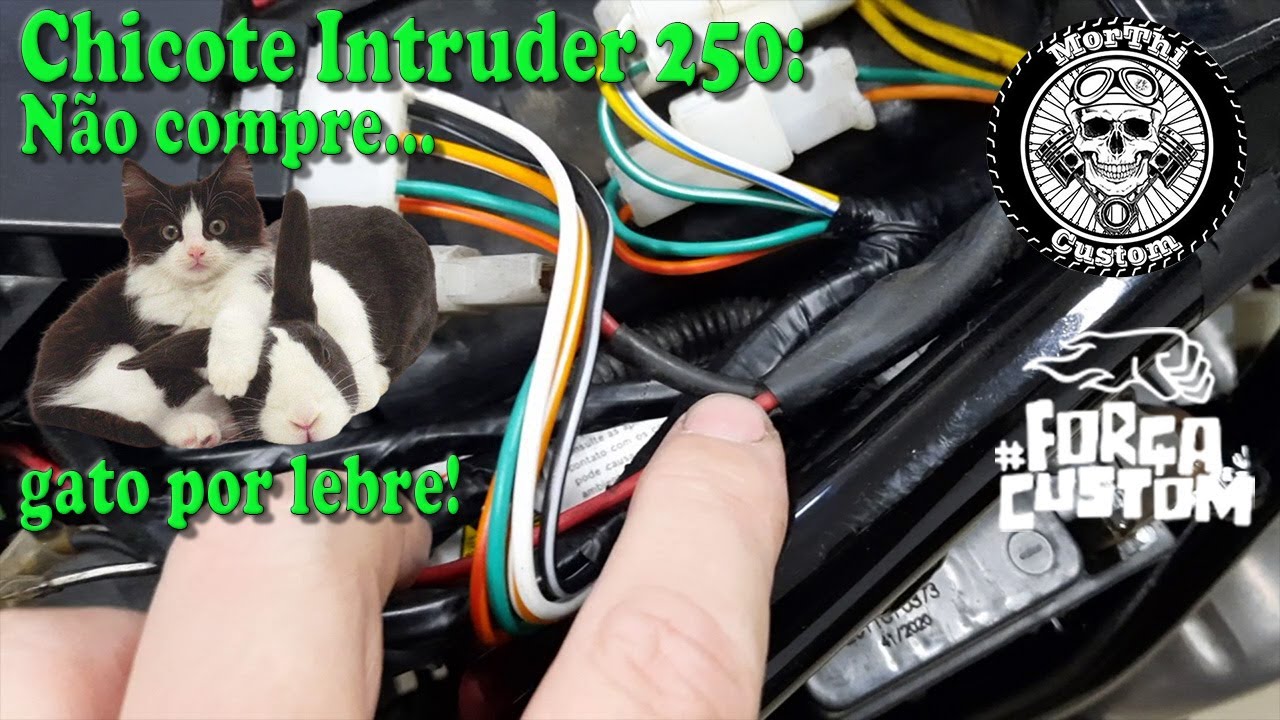 Chicote intruder 250: Não compre gato por lebre!