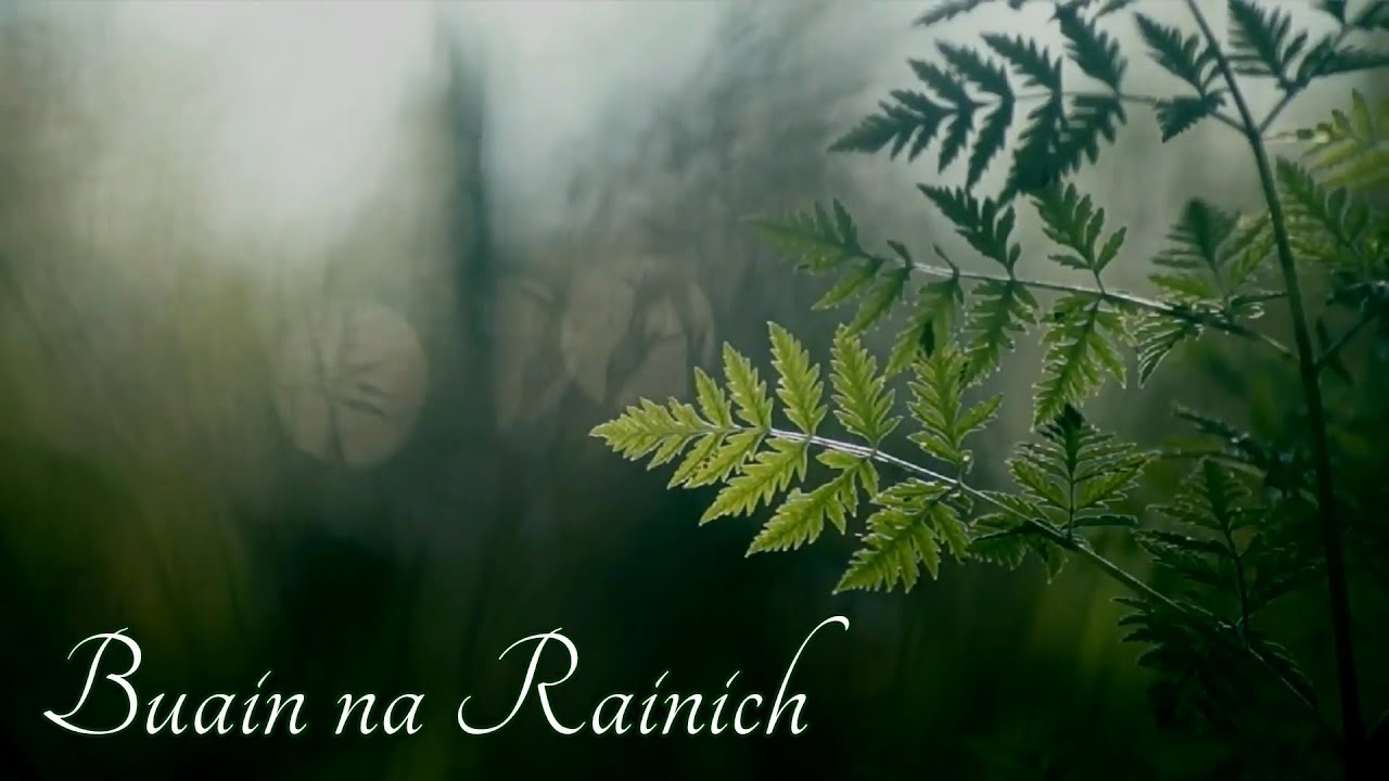 Buain na Rainich | A Fairy's Love Song | Scottish Gaelic