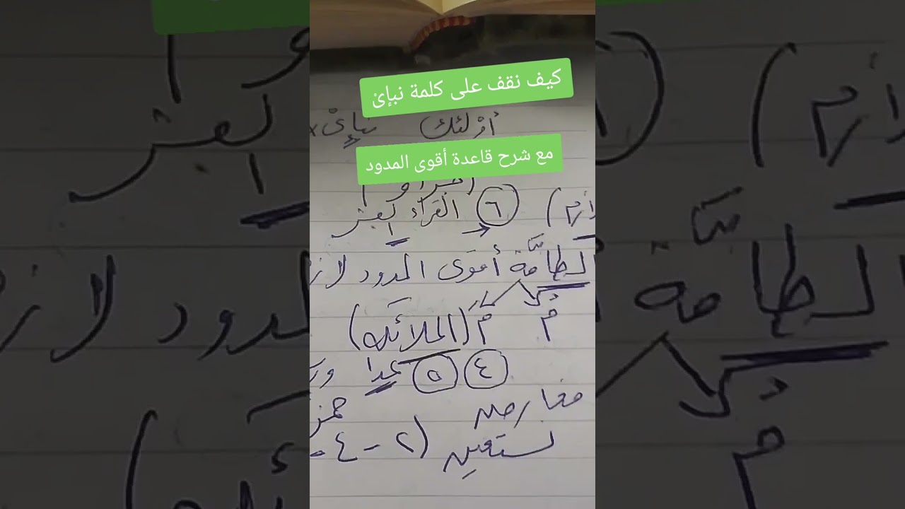١٤ فبراير ٢٠٢٦