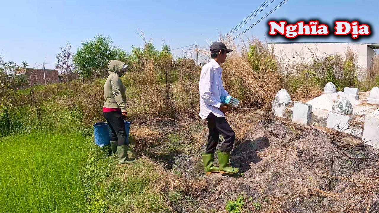 Tìm RẮN Khủng Trong Khu Nghĩa Địa Ngày Cận Tết # CSBR # 455