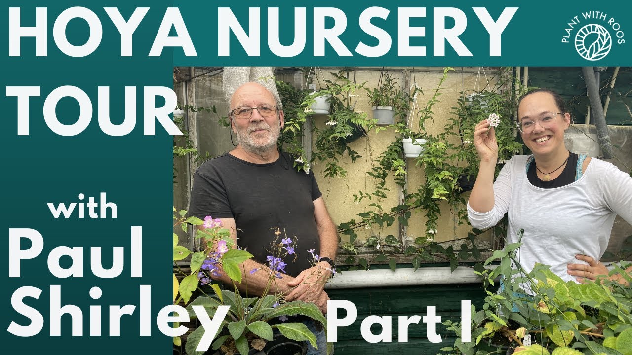 Hoya nursery tour and interview with Paul Shirley, Part 1 | Plant with Roos