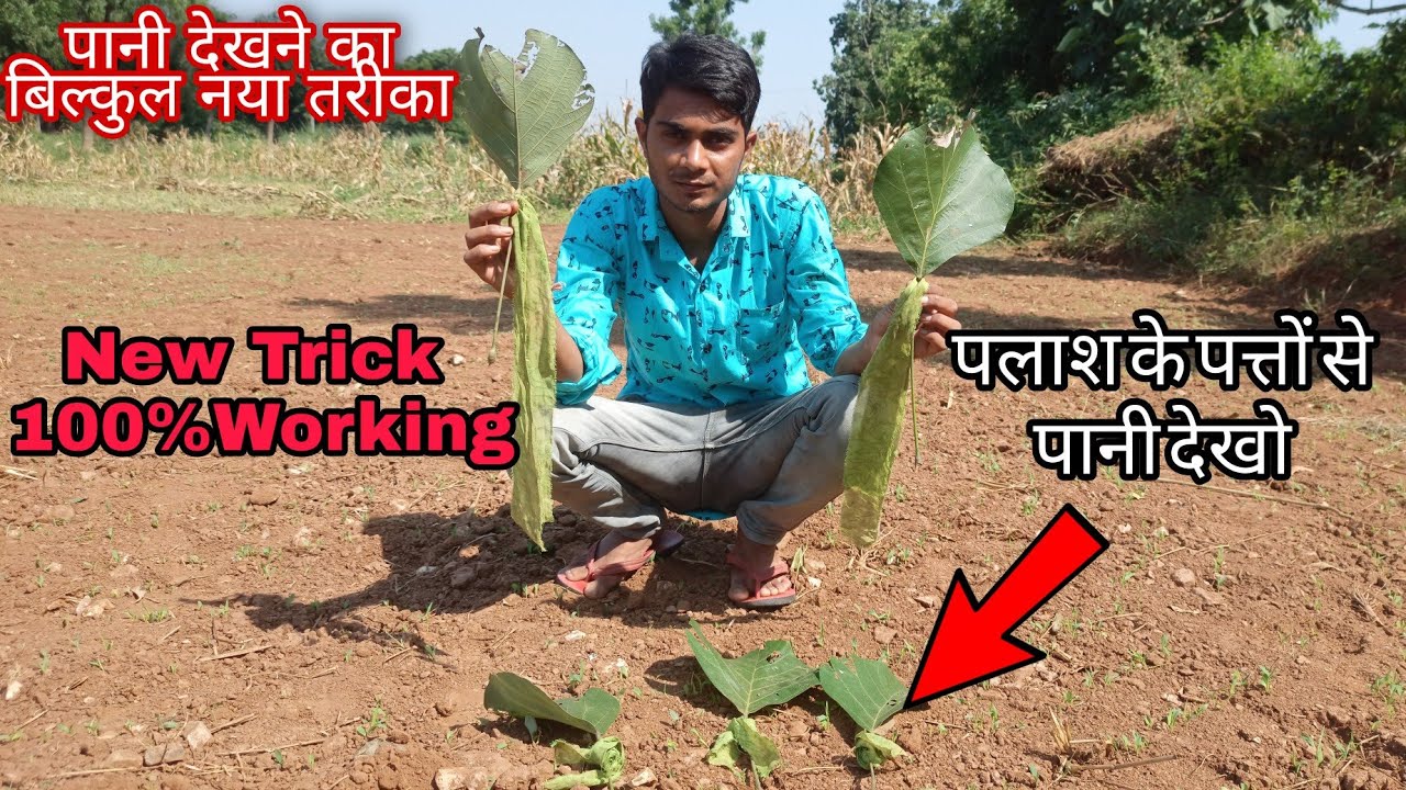 पलाश के पत्तों से जमीन के अंदर पानी देखना सीखे - पानी देखने का नया तरीका - Water In The Ground.
