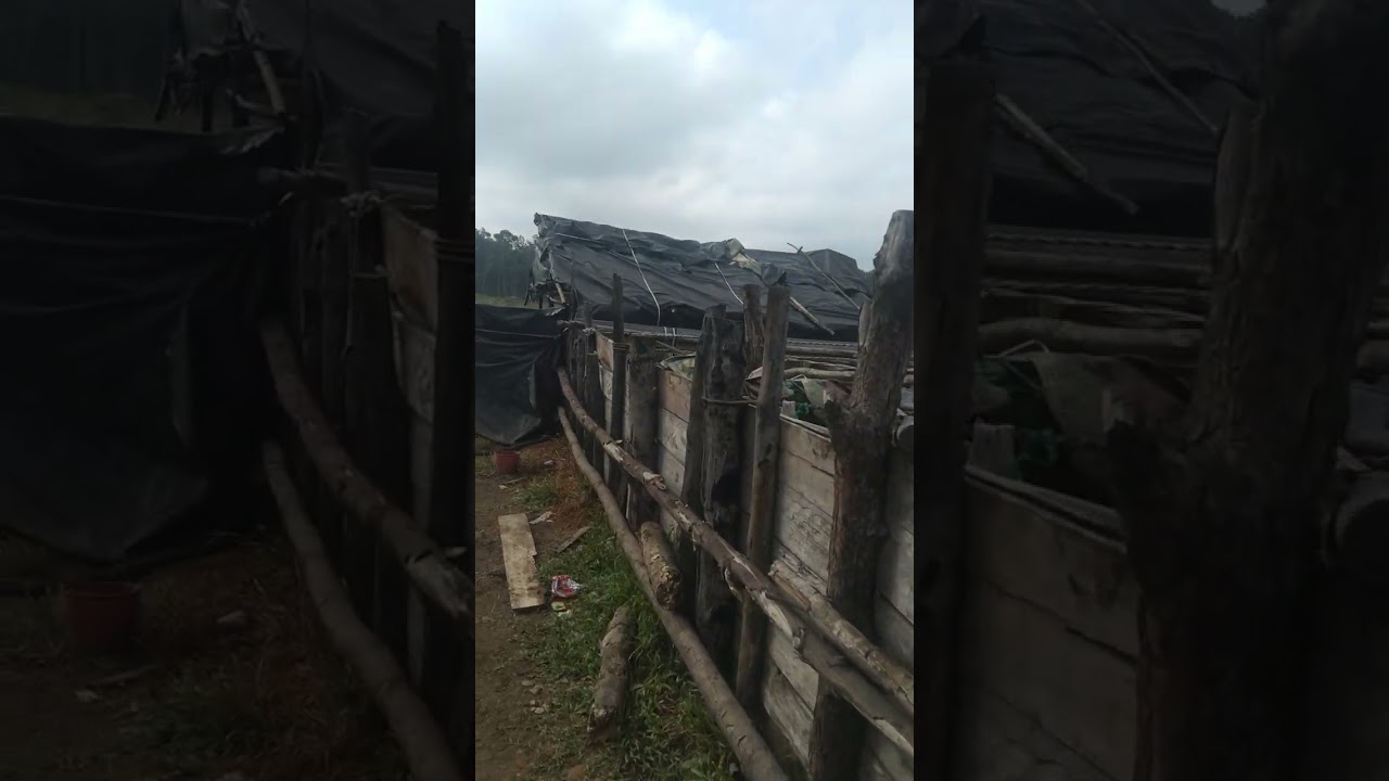 CARA MENYULING MINYAK MENTAH SECARA SEDERHANA  II Kondisi suling minyak  sederhana