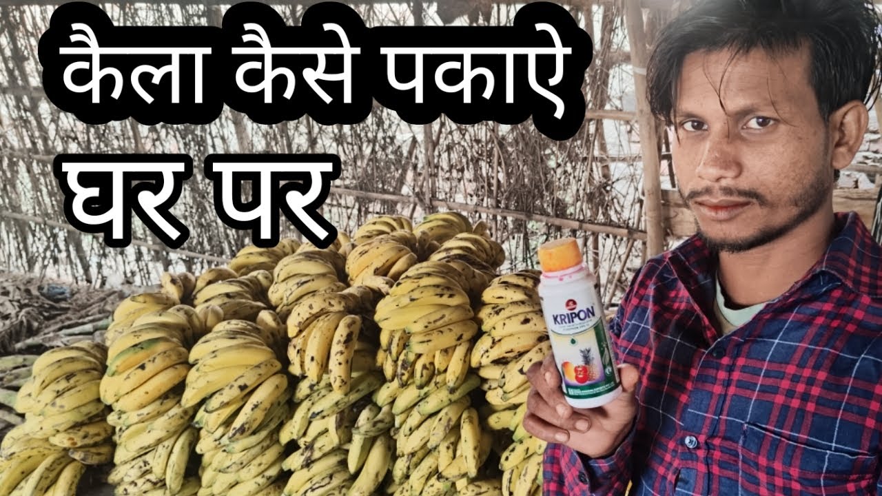 घर पर कैसे कैला पकाऐ। @tipstheatre2903 @ruptaravlogs @VijayRiyaOfficial2