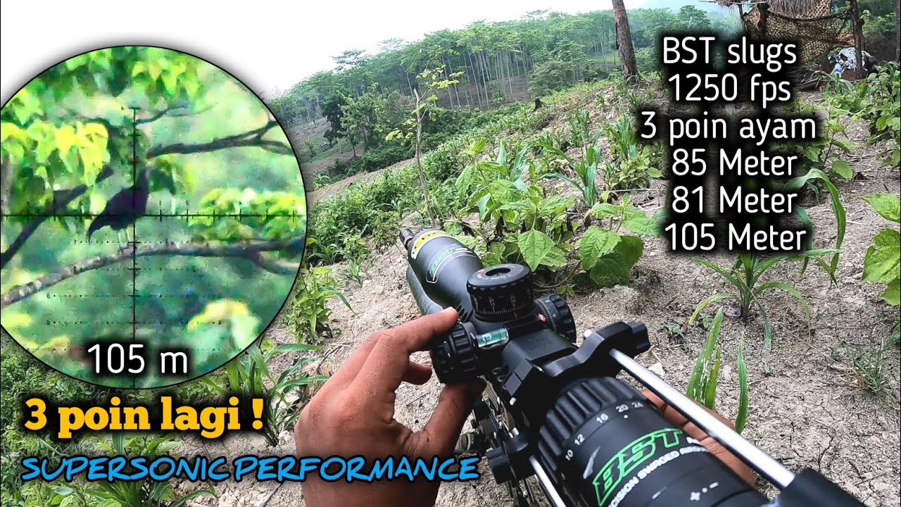 Strategi Berburu ayam hutan ‼️Kami mengatur strategi keren 🤣🤣  Supersonic |BST slug MK2