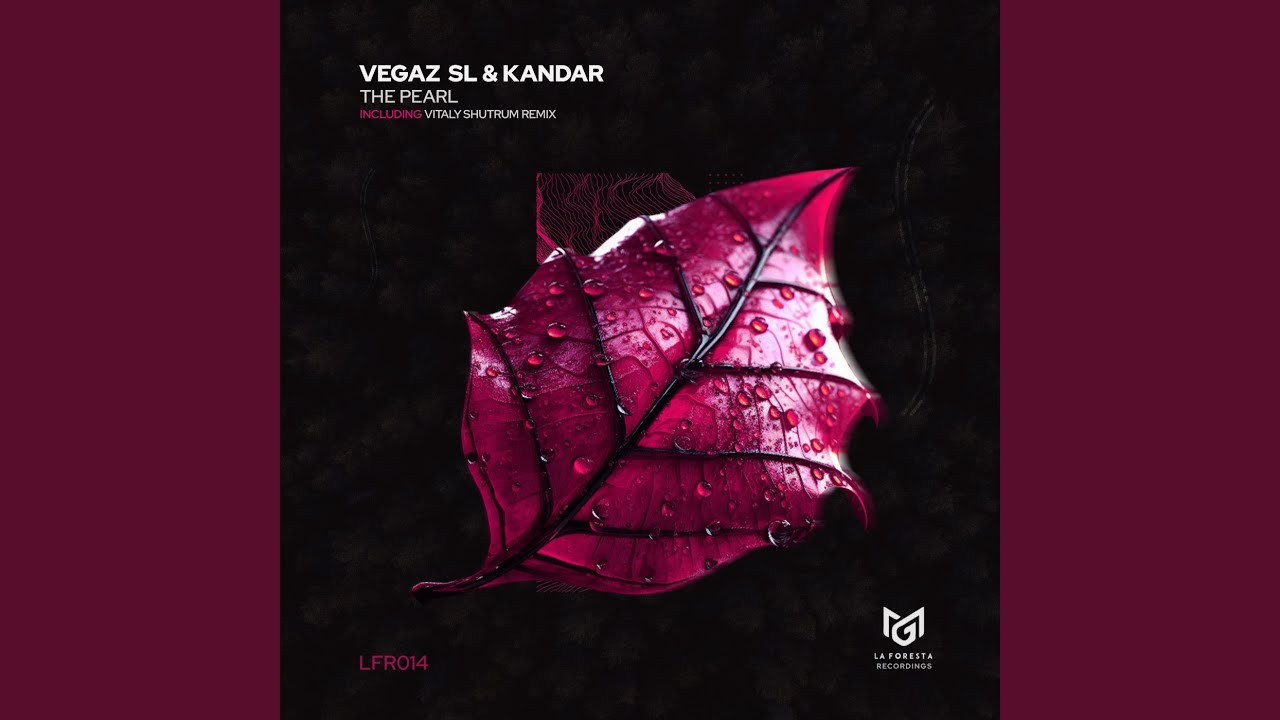 The Pearl (Vitaly Shturm Remix)