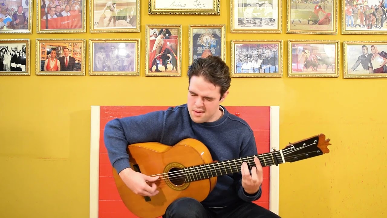 Pegs Flamenco Guitar 