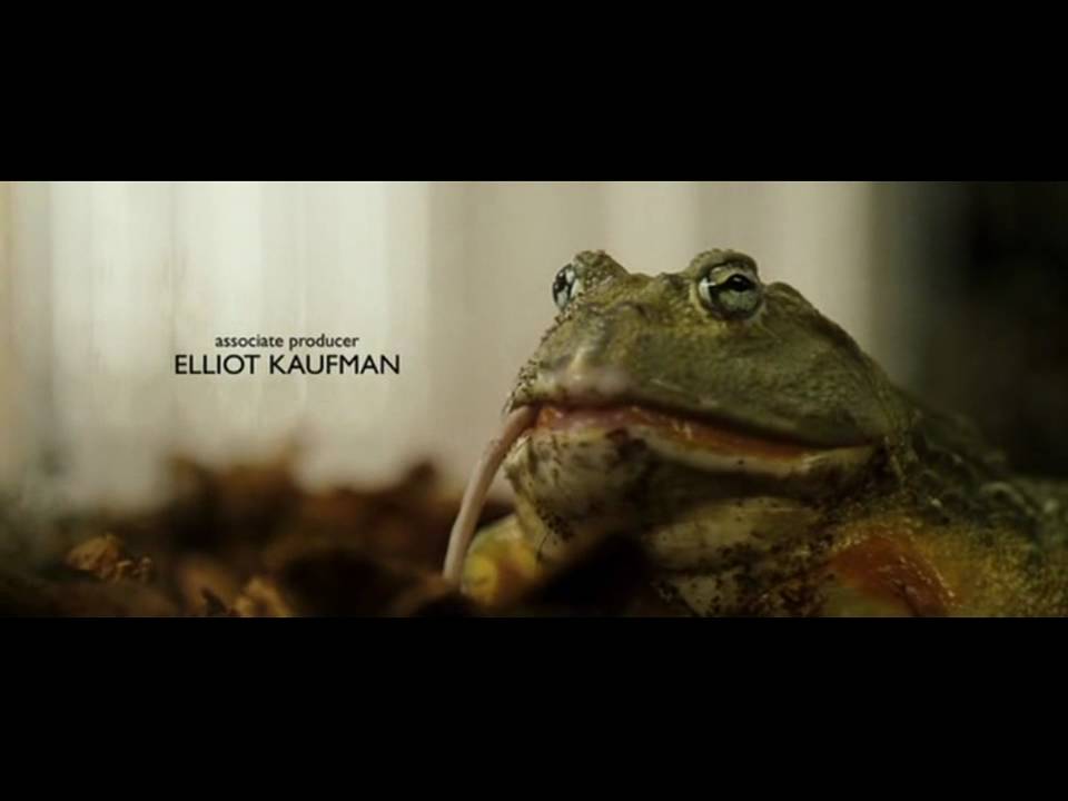 Kutcher feeds mouse to a frog - Spread