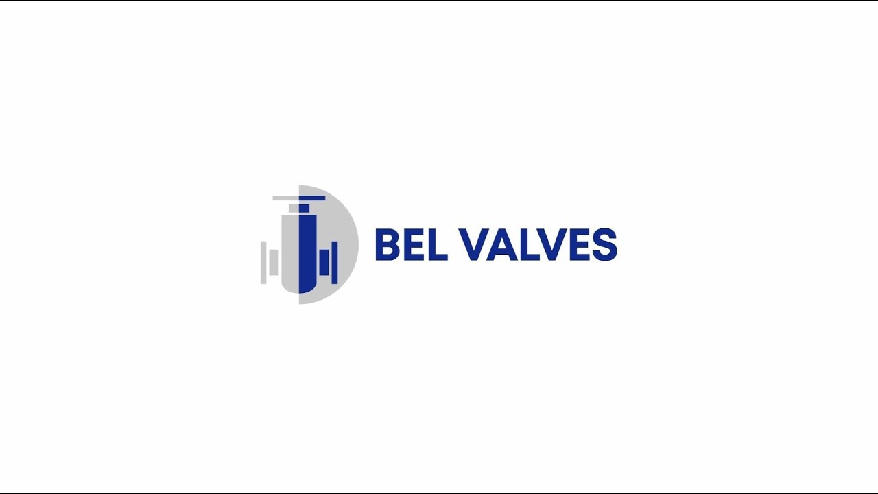 BEL Valves Company Overview
