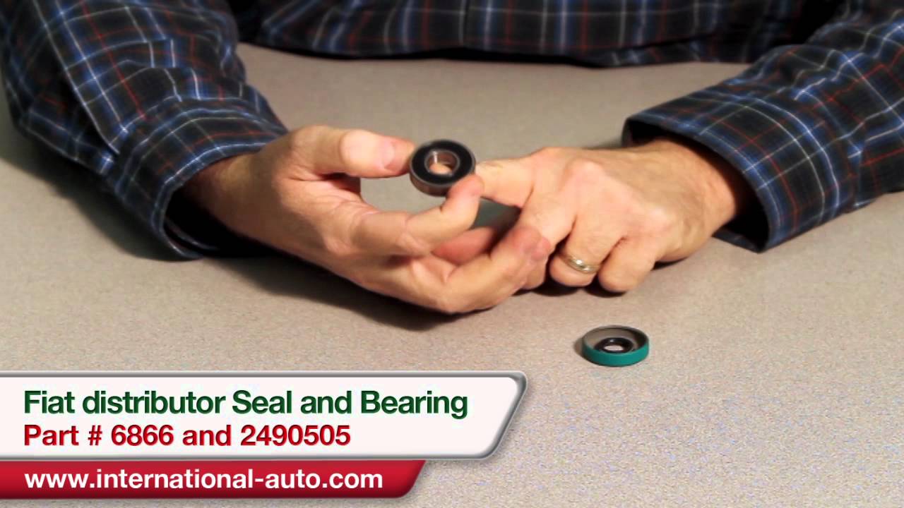 Fiat Distributor Seal and Bearing - International Auto Parts