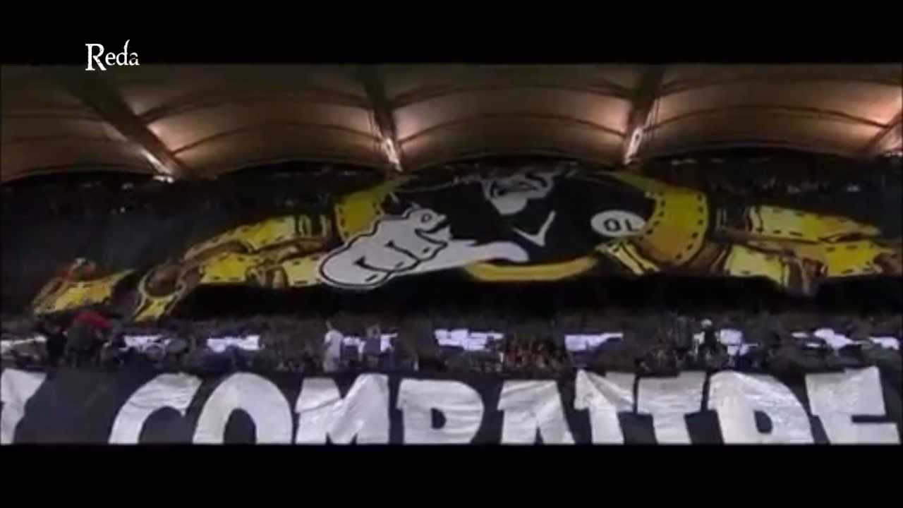 Olympique lyonnais ! Allez l'OL !