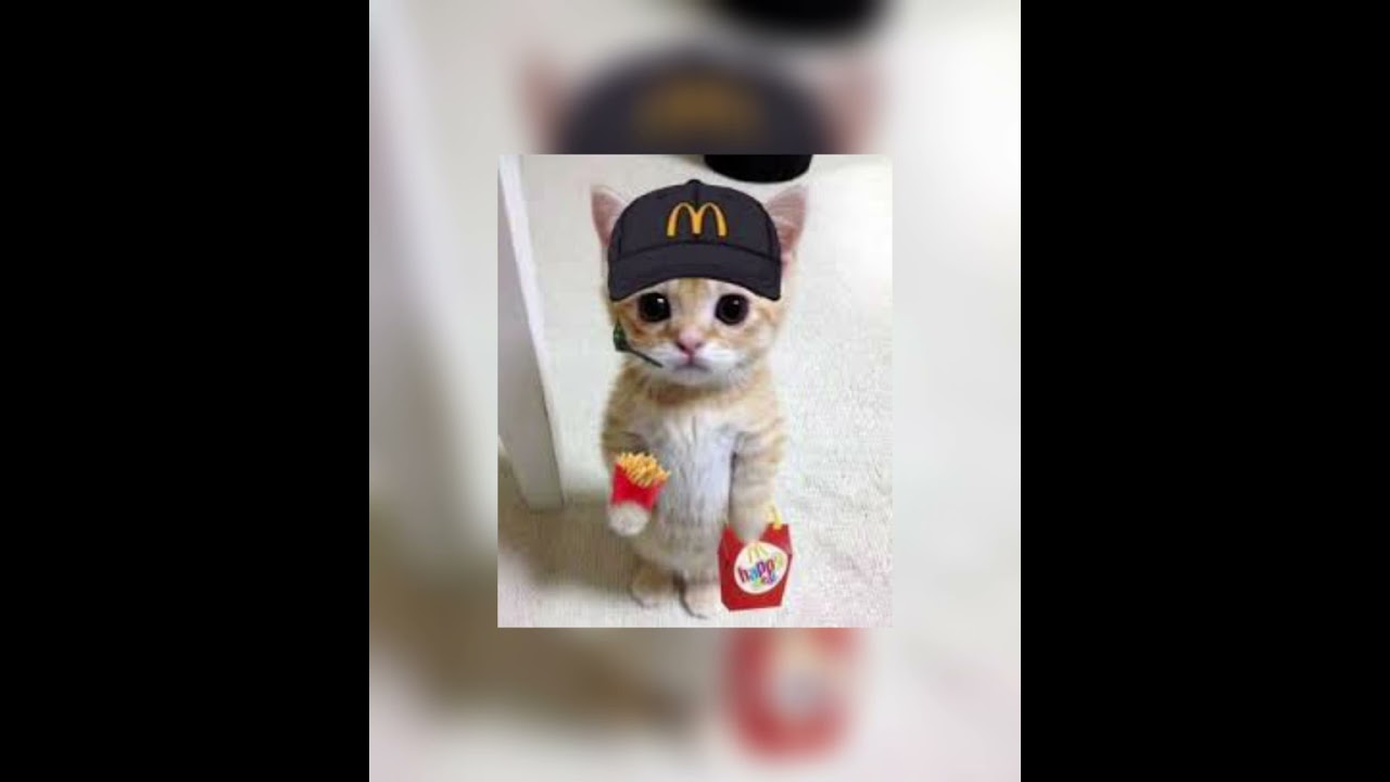 Me gustas tu  (sped up)