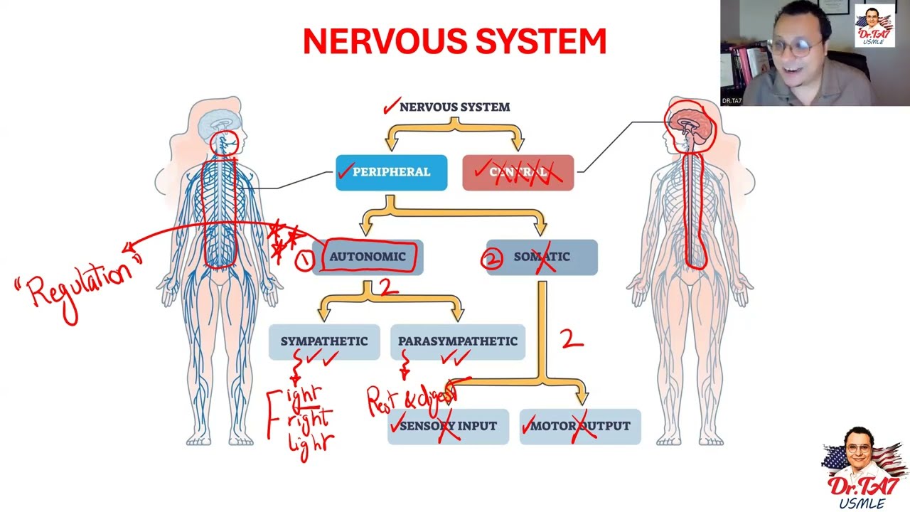 DR TA7: ANS PHARMACOLOGY 1