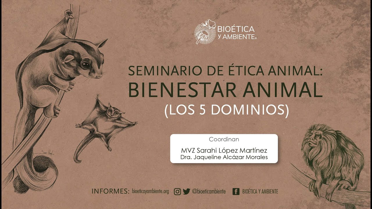 Dominios del bienestar animal: Ambiente