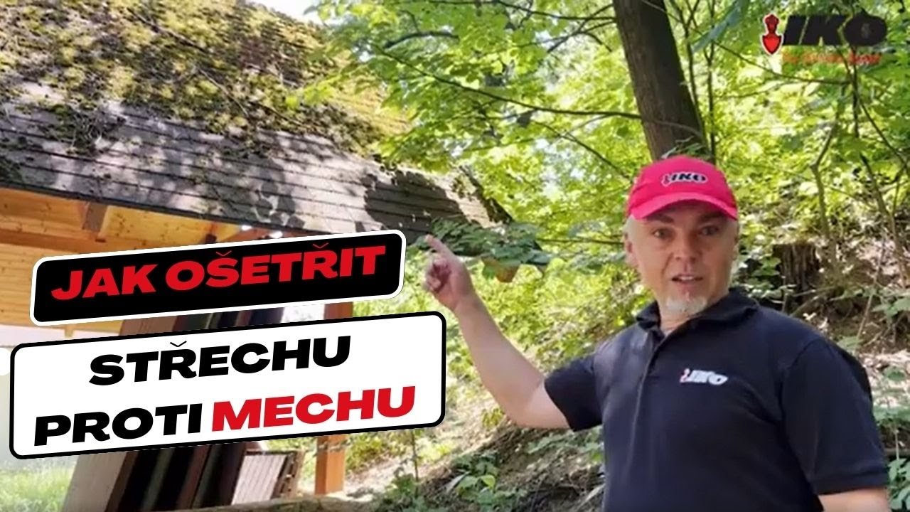 Jak ošetřit střechu proti mechu