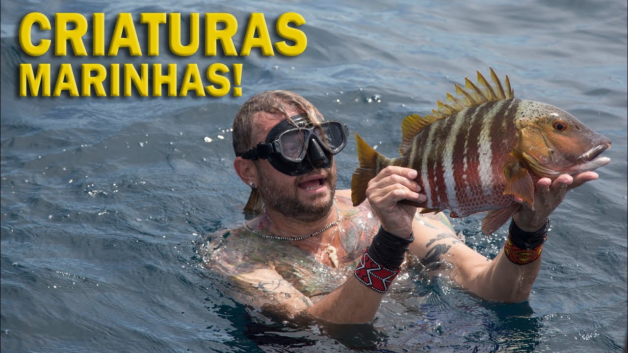 #2 COSTA RICA | CRIATURAS MARINHAS | RICHARD RASMUSSEN