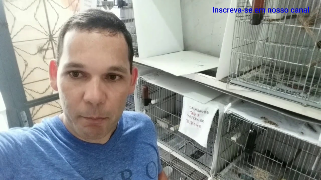 Separando os filhotes da mãe