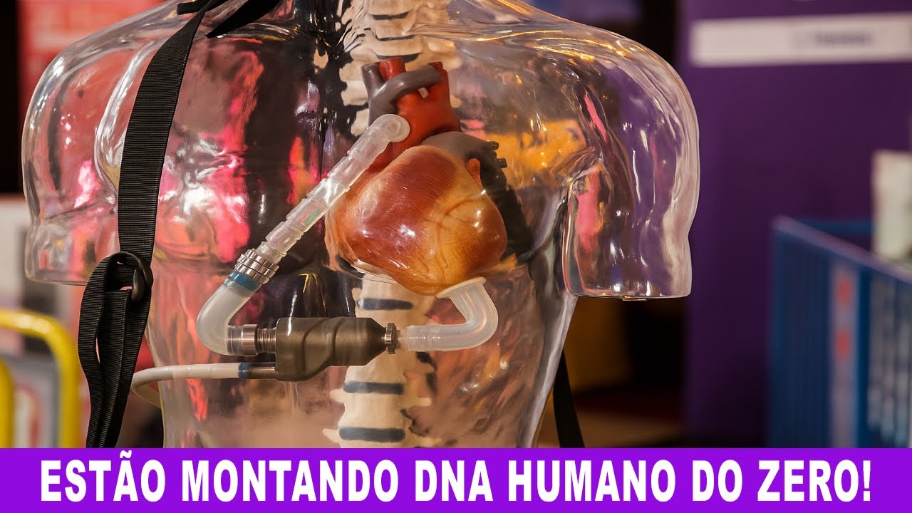 Cientistas D&atilde;o o Primeiro Passo para Criar Genoma Humano Sint&eacute;tico