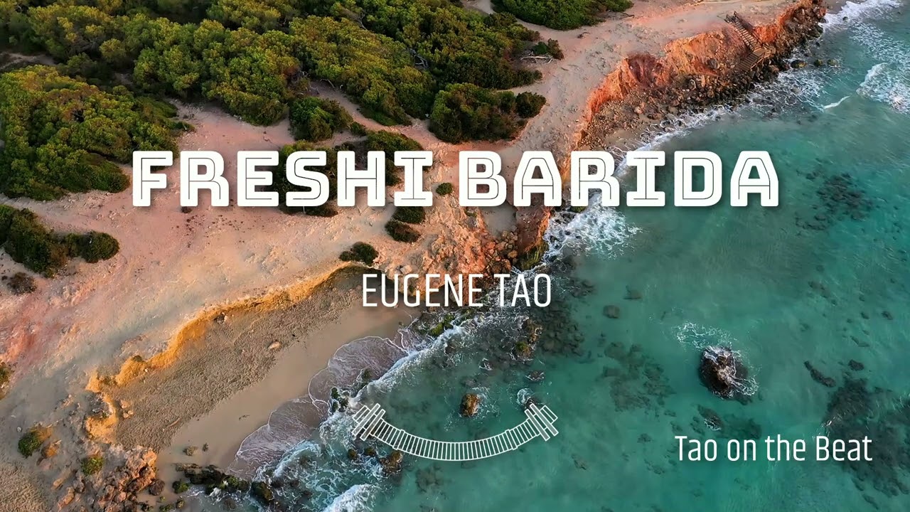 FRESHI BARIDA INSTRUMENTAL REMAKE[SUBSCRIBE]