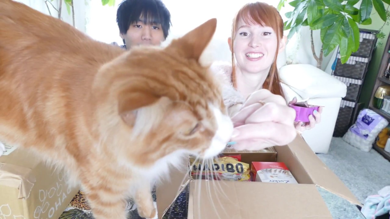 Opening packages and introducing Nagi!