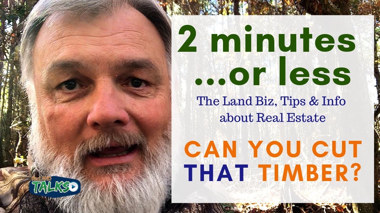 Quick Land Tips - Can You Value THAT Timber?