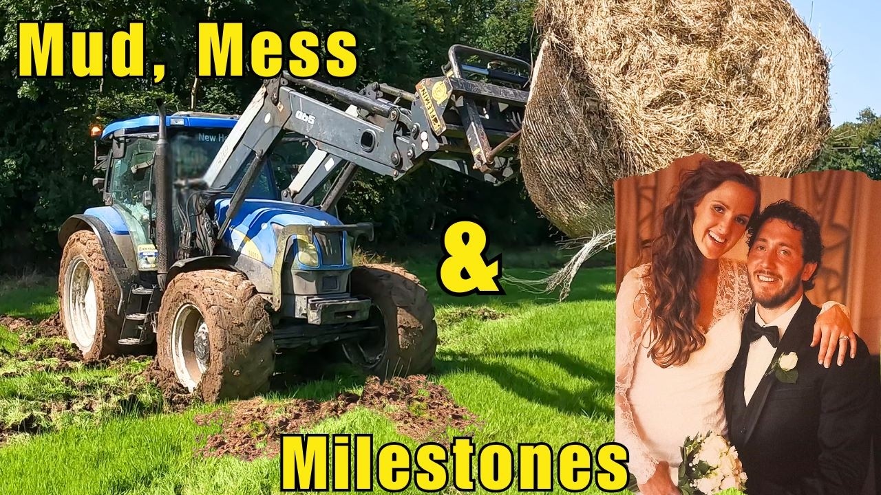 Mud, Maggots and Mishaps: Hitting 10-Year Milestones                          #farming #sheepfarming