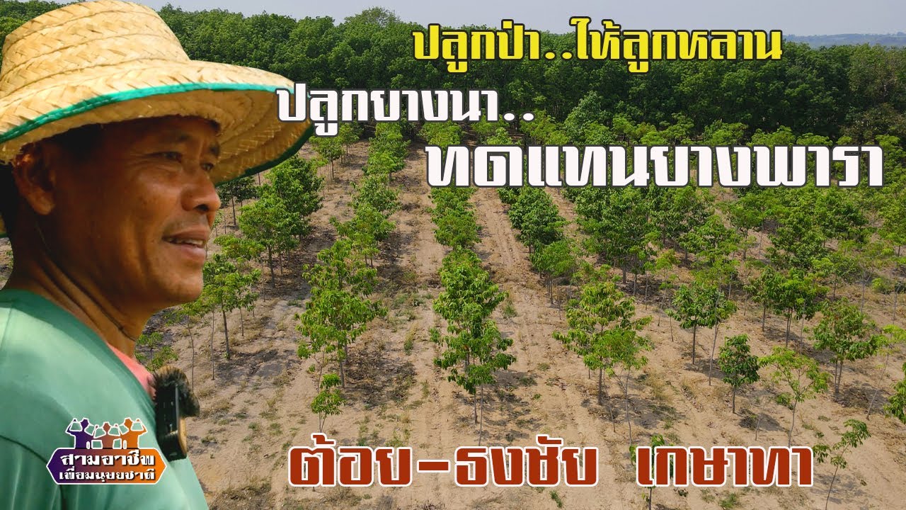 ปลูกป่า..ให้ลูกหลาน
