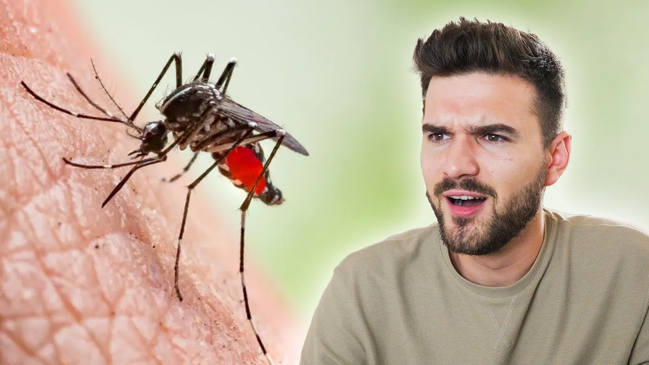 Hogyan sz&iacute;vj&aacute;k ki a SZ&Uacute;NYOGOK a v&eacute;r&uuml;nket? - M&aacute;rkop&eacute;dia #14