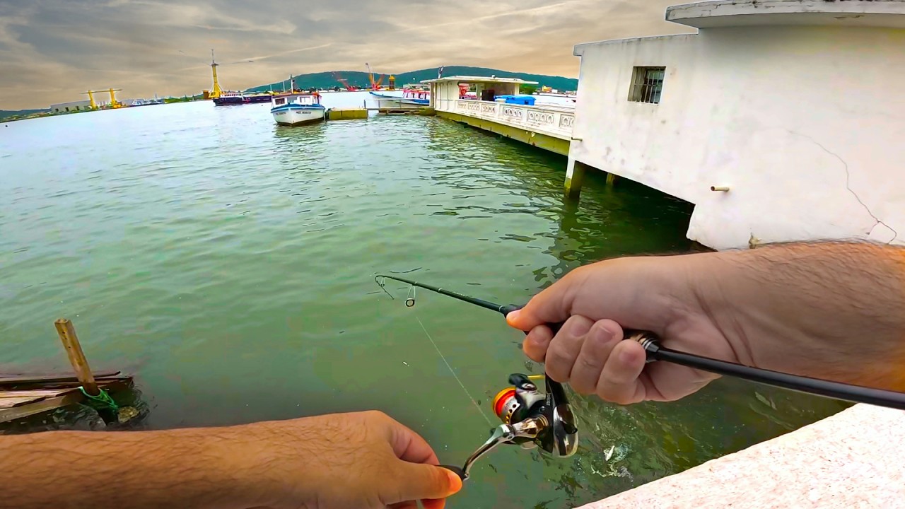 PESCARIA nas MURETAS de SANTOS, PONTA da PRAIA! Micro-iscas artificiais, camarão e shad nos robalos