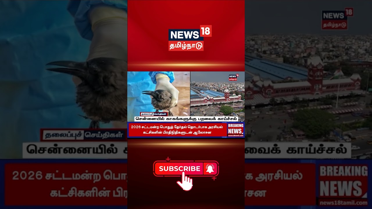 H5N1 bird flu confirmed in Chennai | சென்னையில் காகங்களுக்கு பறவைக் காய்ச்சல்.. | News18Tamilnadu