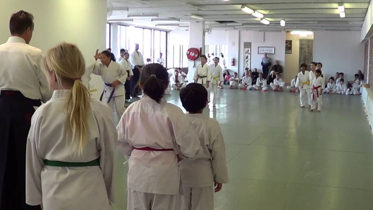 Kids Ukemi & Basic Techniques