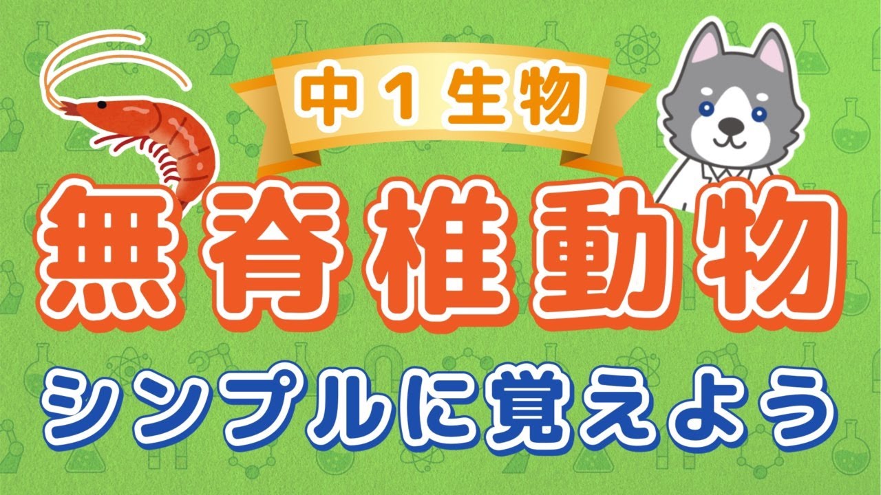 中1理科『無セキツイ動物の分類』