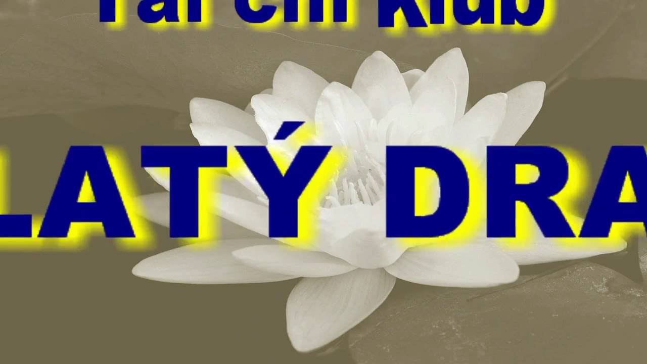 Tai chi vějíř 52 forem (Taiji Kung Fu Fan)