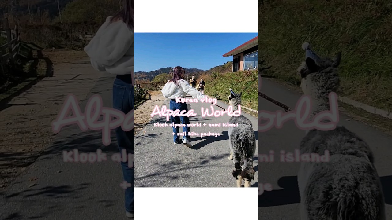 alpaca world korea vlog 💖 bought the klook package #alpacaworld #koreavlog #travelvlog #韓國旅遊 #韓國旅行