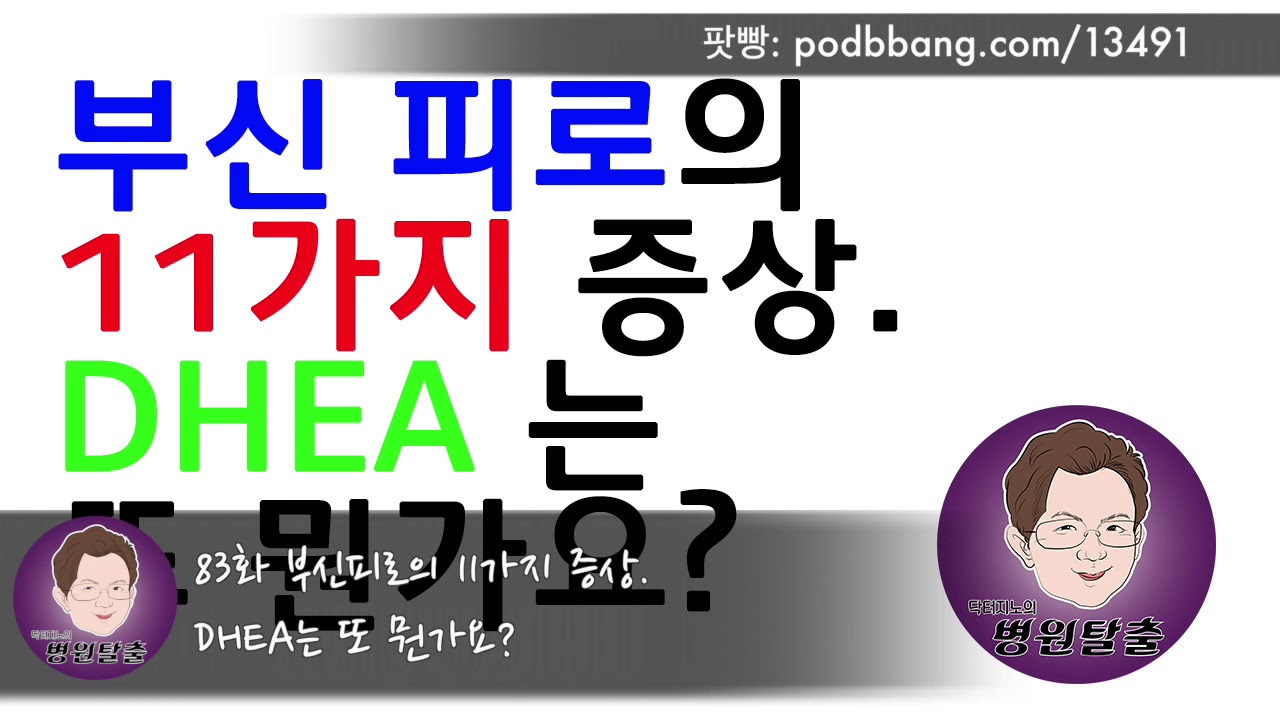 [갑상선/부신피로] 부신피로의 11가지 증상. DHEA는 또 뭔가요?